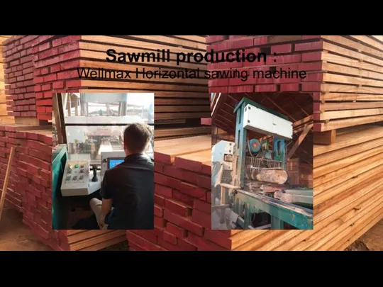 Sawmill production : Wellmax Horizontal sawing machine