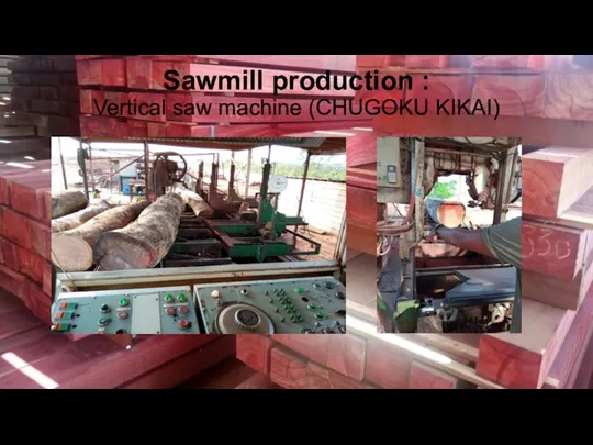 Sawmill production : Vertical saw machine (CHUGOKU KIKAI)