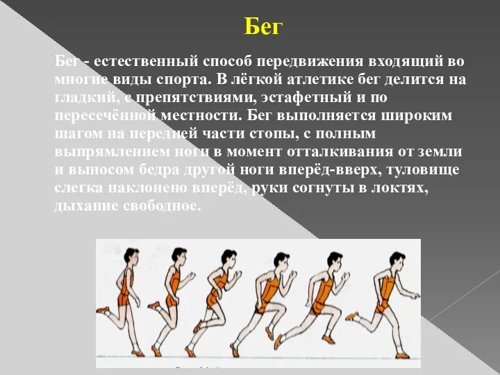 Бег Бег - естественный способ передвижения входящий во многие виды