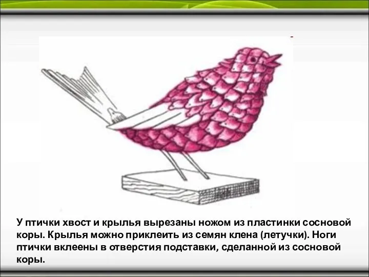 У птички хвост и крылья вырезаны ножом из пластинки сосновой