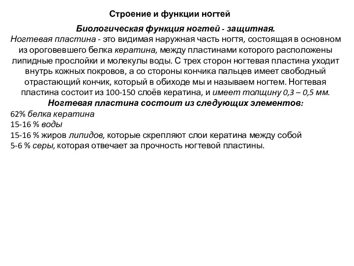 Строение и функции ногтей Биологическая функция ногтей - защитная. Ногтевая