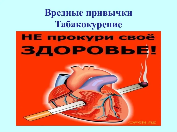 Вредные привычки Табакокурение