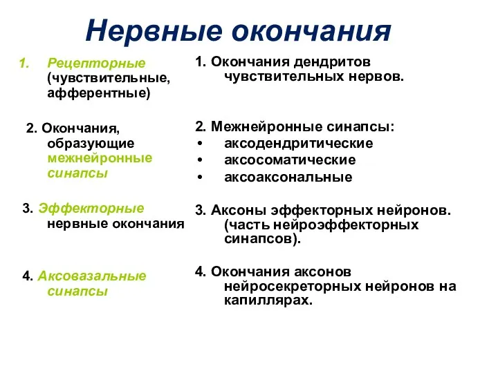 Нервные окончания Рецепторные (чувствительные, афферентные) 2. Окончания, образующие межнейронные синапсы