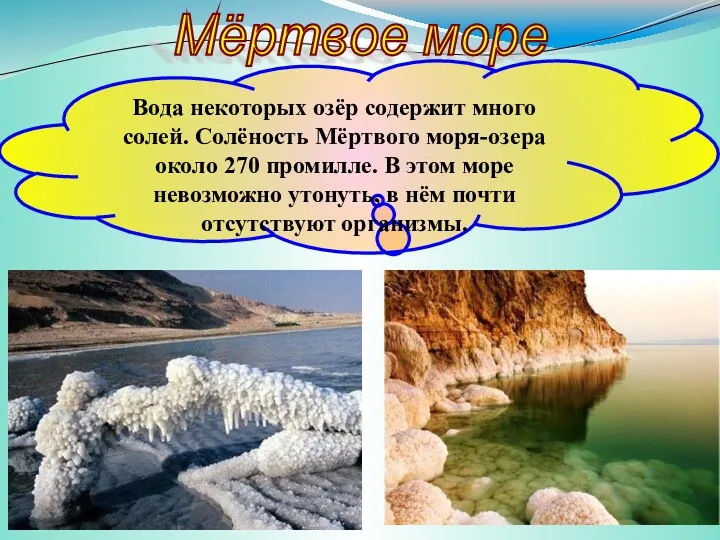 Мёртвое море Вода некоторых озёр содержит много солей. Солёность Мёртвого