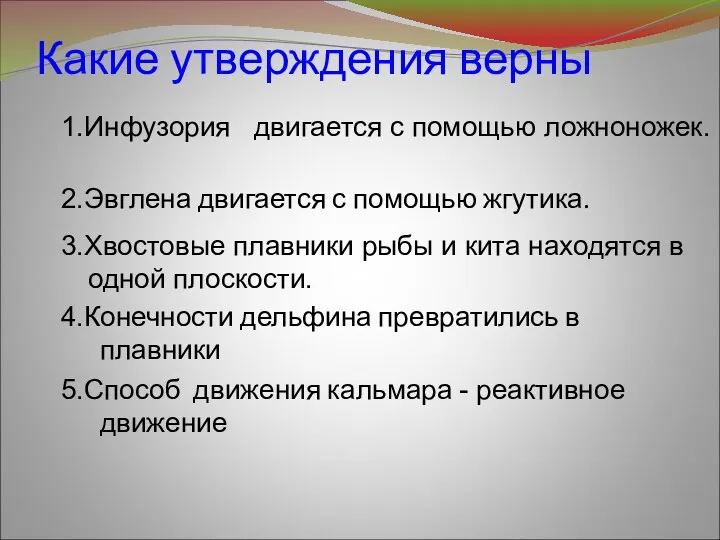 Какие утверждения верны 2.Эвглена двигается с помощью жгутика. 4.Конечности дельфина