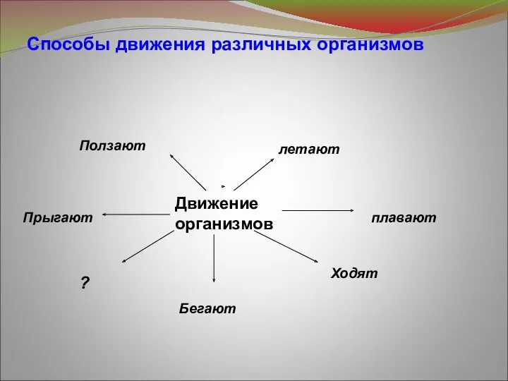 Способы движения различных организмов Движение организмов летают плавают Ходят Бегают Прыгают Ползают ?