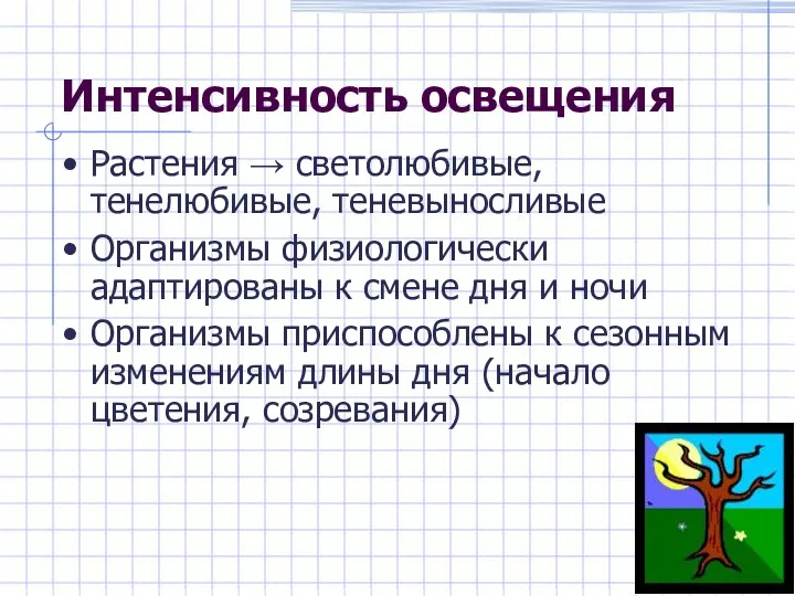 Интенсивность освещения Растения → светолюбивые, тенелюбивые, теневыносливые Организмы физиологически адаптированы