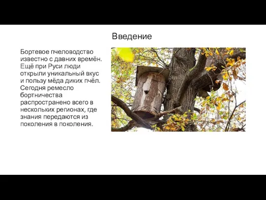 Введение Бортевое пчеловодство известно с давних времён. Ещё при Руси