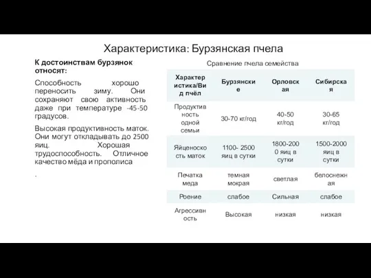 Характеристика: Бурзянская пчела К достоинствам бурзянок относят: Способность хорошо переносить