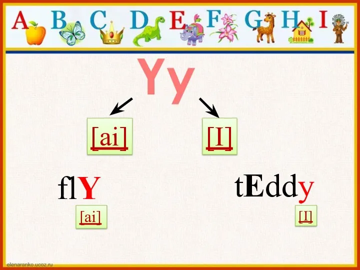 Yy [ai] [I] tEddy flY [ai] [I]