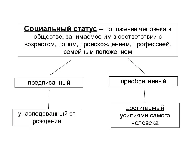 Социальный статус – положение человека в обществе, занимаемое им в