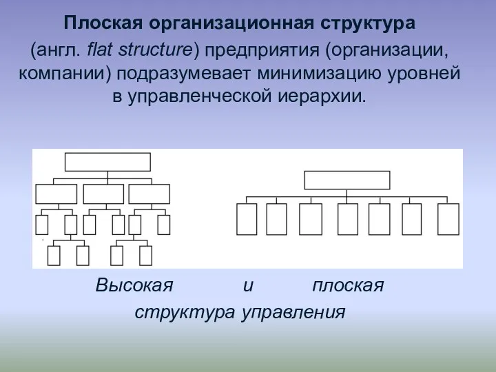 Плоская организационная структура (англ. flat structure) предприятия (организации, компании) подразумевает минимизацию уровней в