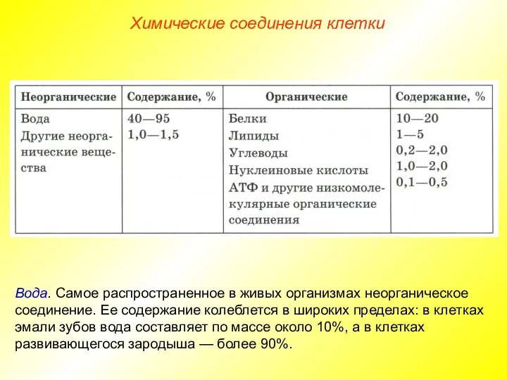 Химические соединения клетки Вода. Самое распространенное в живых организмах неорганическое