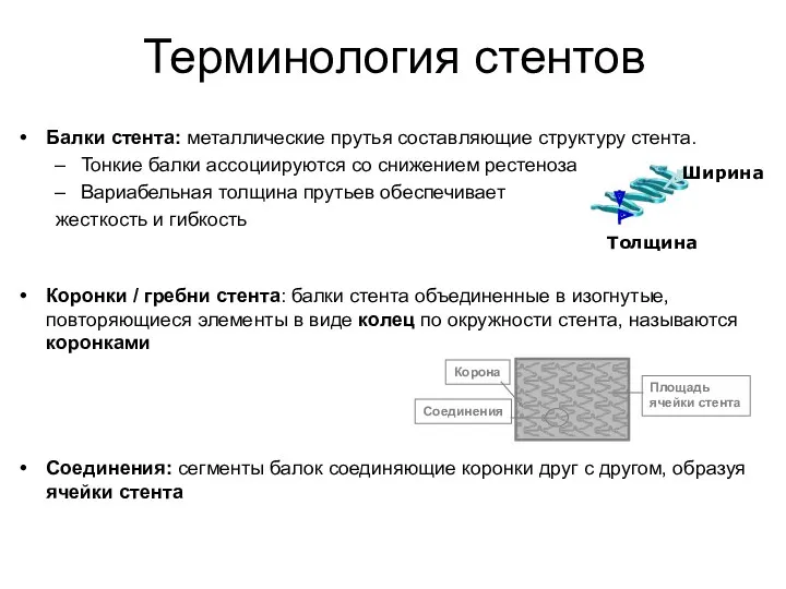 Балки стента: металлические прутья составляющие структуру стента. Тонкие балки ассоциируются