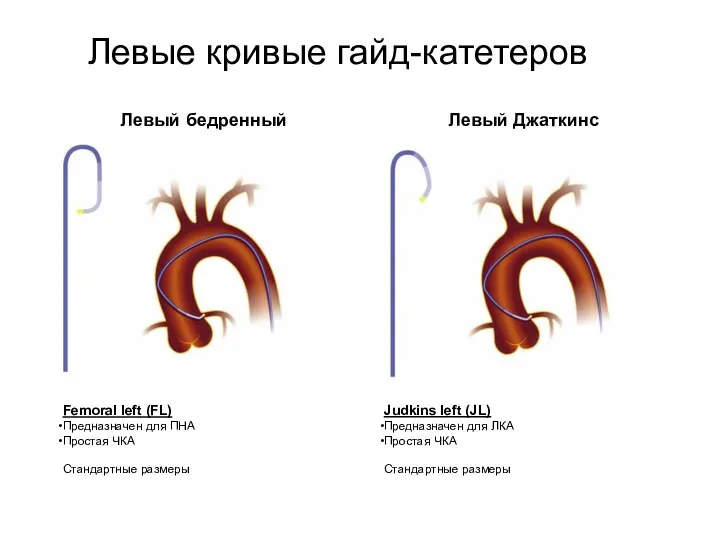 Левый бедренный Femoral left (FL) Предназначен для ПНА Простая ЧКА