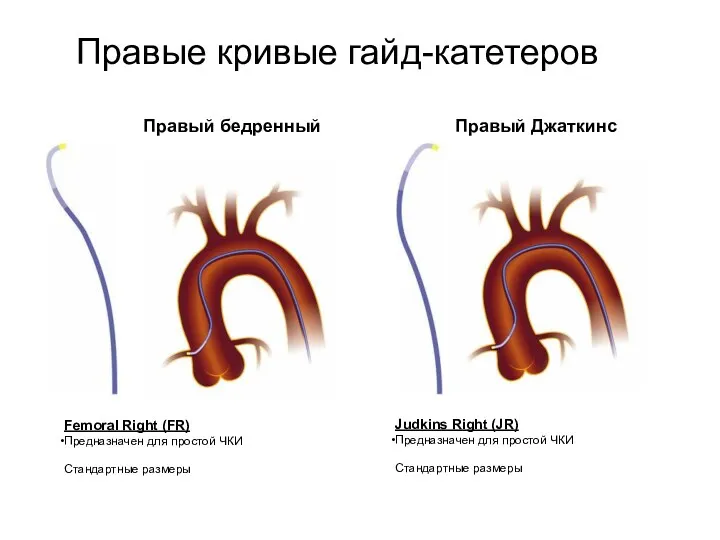 Правый бедренный Femoral Right (FR) Предназначен для простой ЧКИ Стандартные