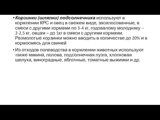 Корзинки (шляпки) подсолнечника используют в кормлении КРС и овец в