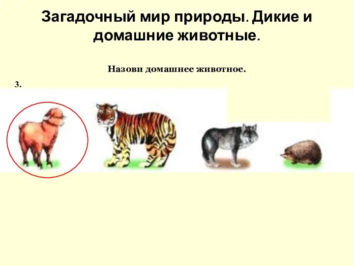 3. Загадочный мир природы. Дикие и домашние животные. Назови домашнее животное.