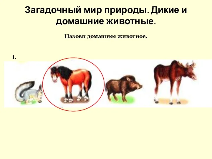 1. Загадочный мир природы. Дикие и домашние животные. Назови домашнее животное.