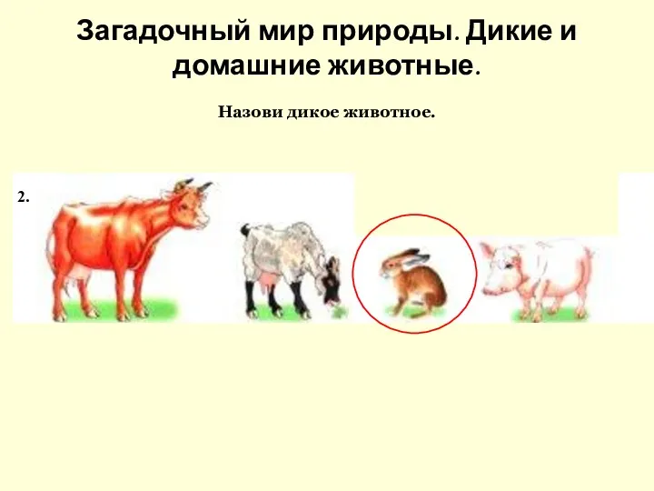 2. Загадочный мир природы. Дикие и домашние животные. Назови дикое животное.