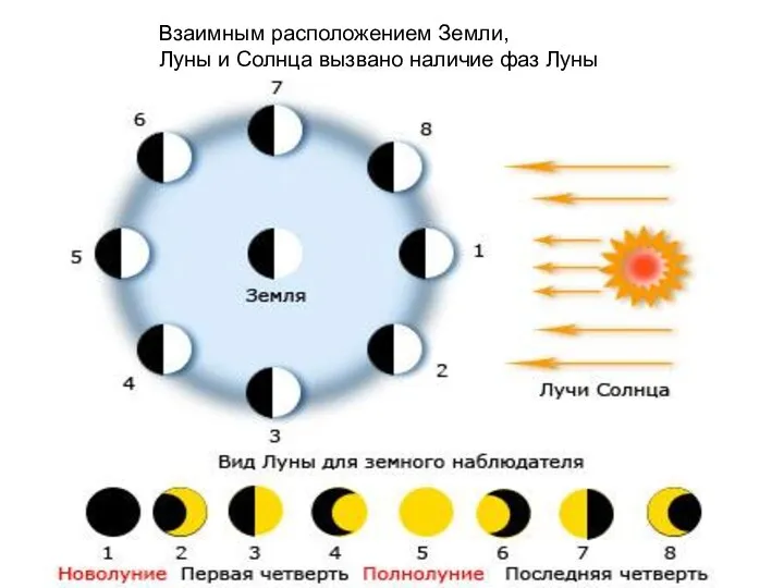 Взаимным расположением Земли, Луны и Солнца вызвано наличие фаз Луны