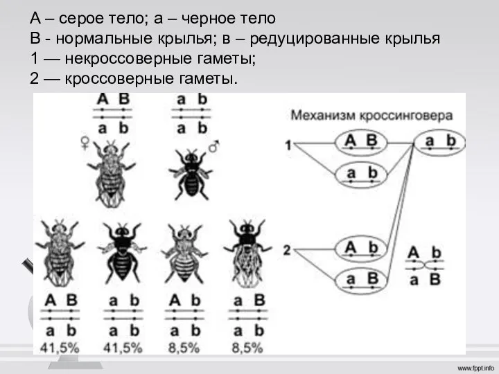 А – серое тело; а – черное тело В -