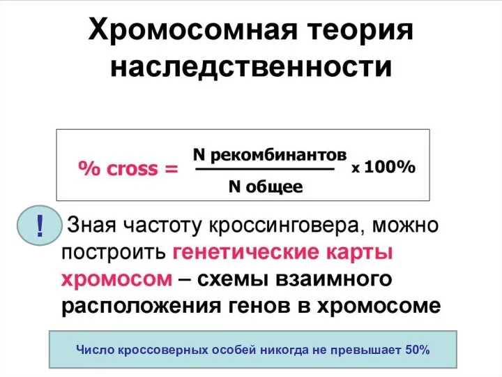 ! Число кроссоверных особей никогда не превышает 50%