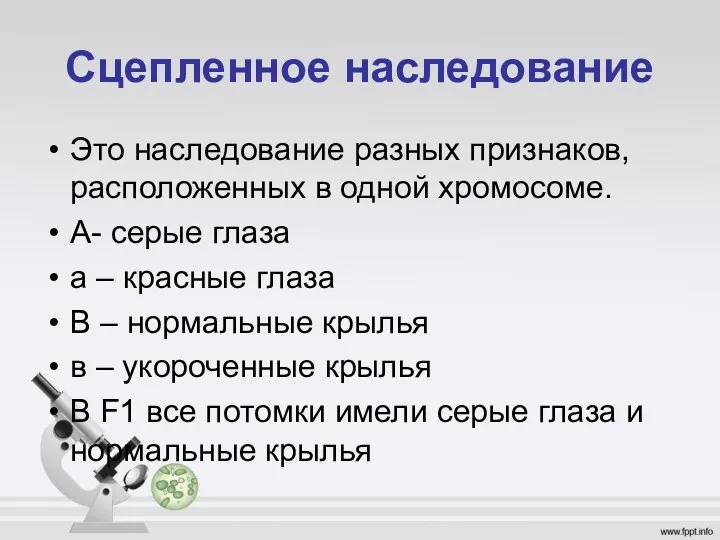 Сцепленное наследование Это наследование разных признаков, расположенных в одной хромосоме.