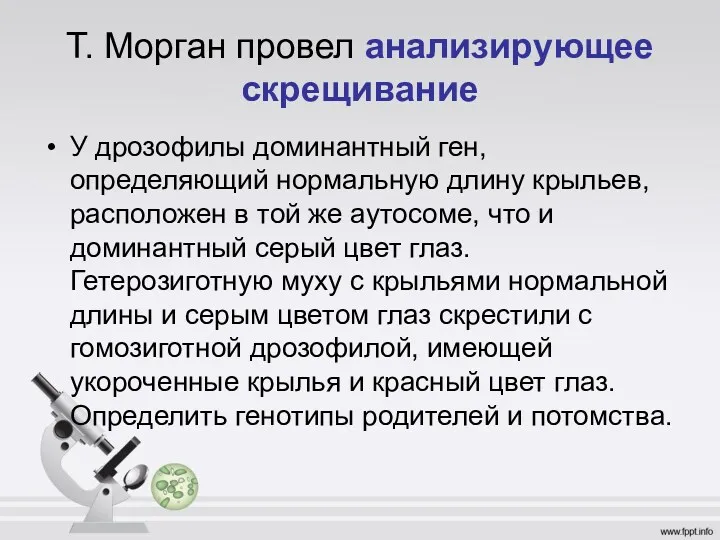 Т. Морган провел анализирующее скрещивание У дрозофилы доминантный ген, определяющий