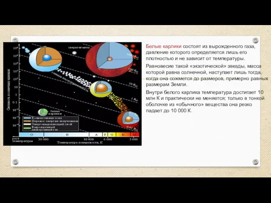 Белые карлики состоят из вырожденного газа, давление которого определяется лишь