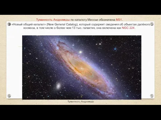 Веста Паллада Туманность Андромеды Туманность Андромеды по каталогу Мессье обозначена М31. В «Новый