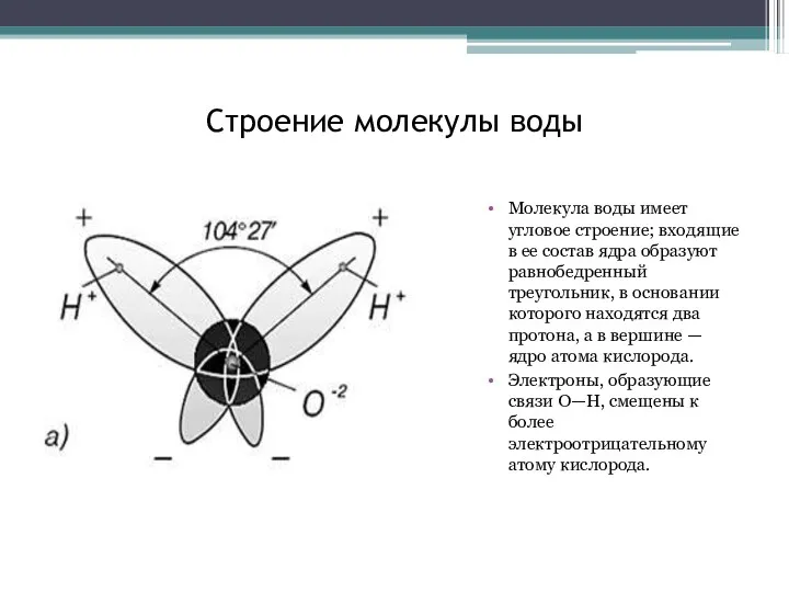 Строение молекулы воды Молекула воды имеет угловое строение; входящие в