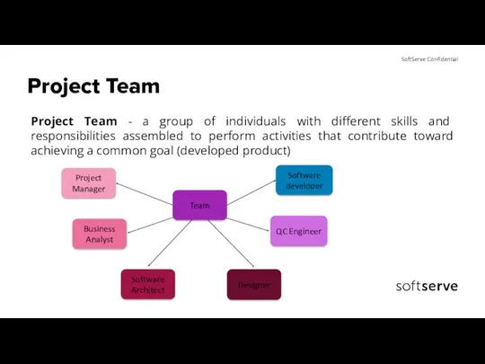 Project Team Project Team - a group of individuals with different skills and