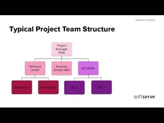 Typical Project Team Structure