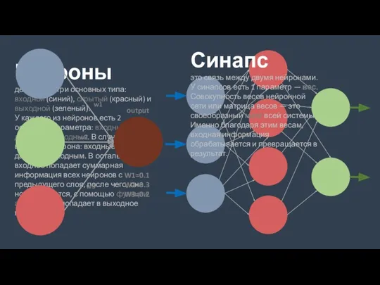 Нейроны делятся на три основных типа: входной (синий), скрытый (красный)