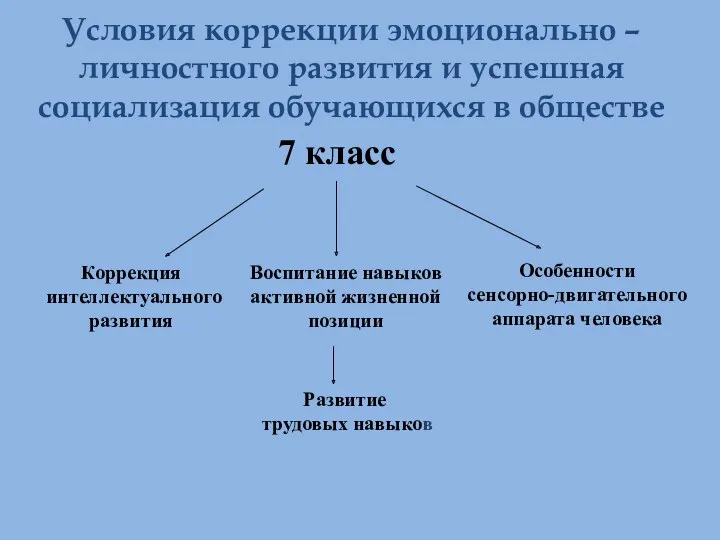 Условия коррекции эмоционально – личностного развития и успешная социализация обучающихся