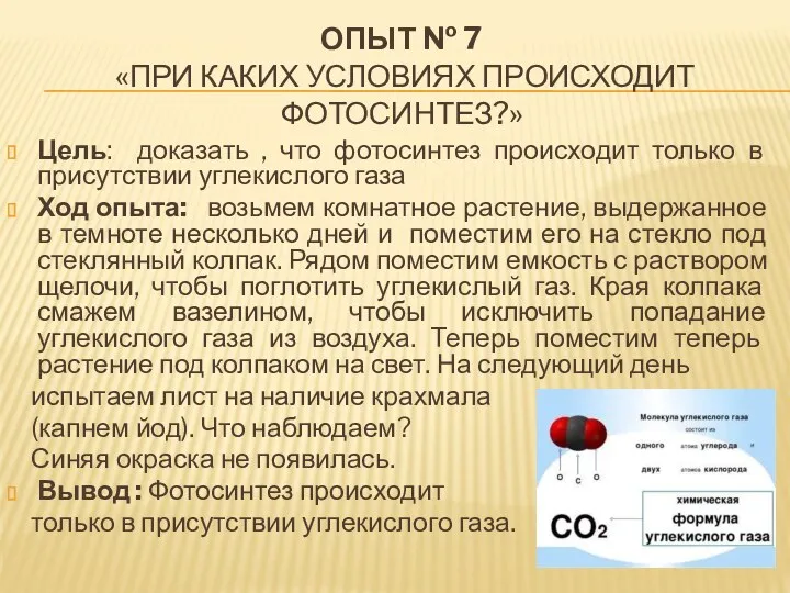 ОПЫТ № 7 «ПРИ КАКИХ УСЛОВИЯХ ПРОИСХОДИТ ФОТОСИНТЕЗ?» Цель: доказать