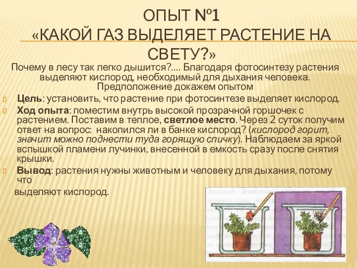 ОПЫТ №1 «КАКОЙ ГАЗ ВЫДЕЛЯЕТ РАСТЕНИЕ НА СВЕТУ?» Почему в