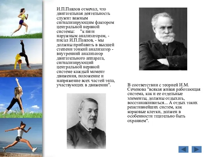 И.П.Павлов отмечал, что двигательная деятельность служит важным сигнализирующим фактором центральной нервной системы: "к