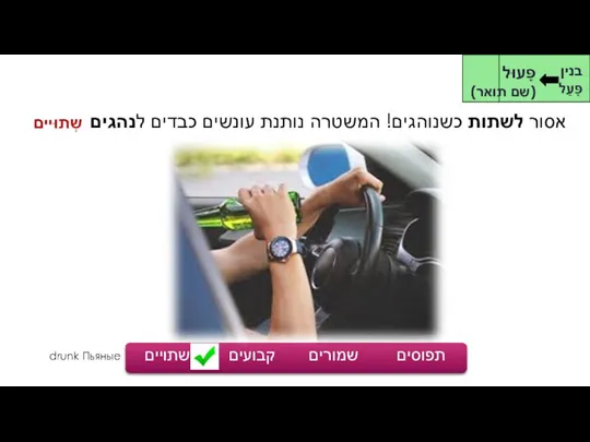 אסור לשתות כשנוהגים! המשטרה נותנת עונשים כבדים לנהגים תפוסים שמורים קבועים שתויים שְתוּיים