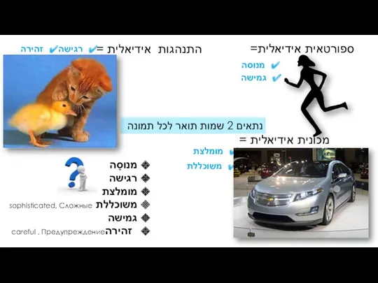 מכונית אידיאלית = התנהגות אידיאלית = ספורטאית אידיאלית= גמישה משוכללת