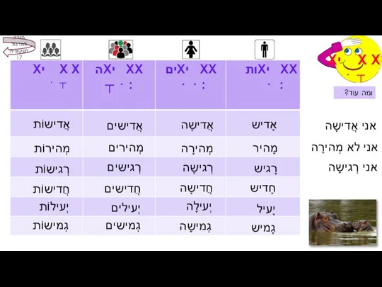 מָהיר רְגישים ומה עוד? אֲדישים אֲדישוֹת אֲדישָה אָדיש מְהירָה מְהירים