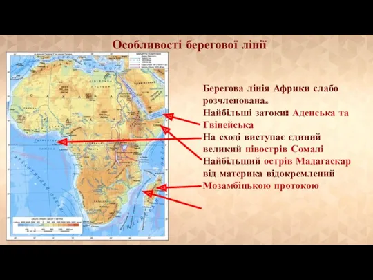 Особливості берегової лінії Берегова лінія Африки слабо розчленована. Найбільші затоки: