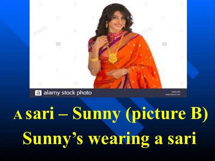 A sari – Sunny (picture B) Sunny’s wearing a sari