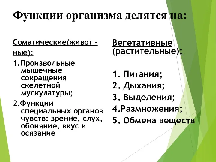 Функции организма делятся на: Соматические(живот - ные): 1.Произвольные мышечные сокращения