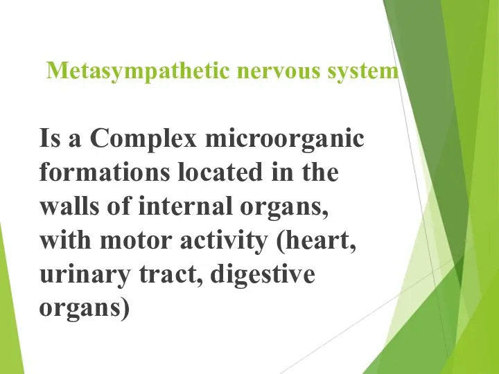 Metasympathetic nervous system Is a Complex microorganic formations located in