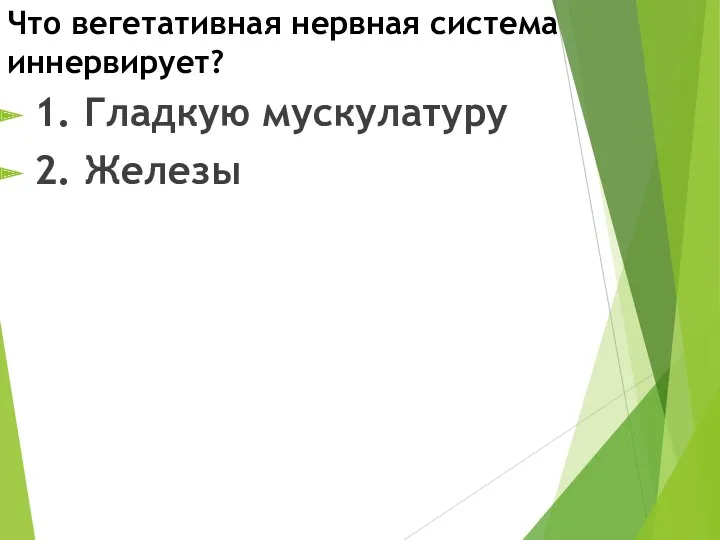 Что вегетативная нервная система иннервирует? 1. Гладкую мускулатуру 2. Железы