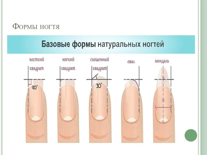Формы ногтя