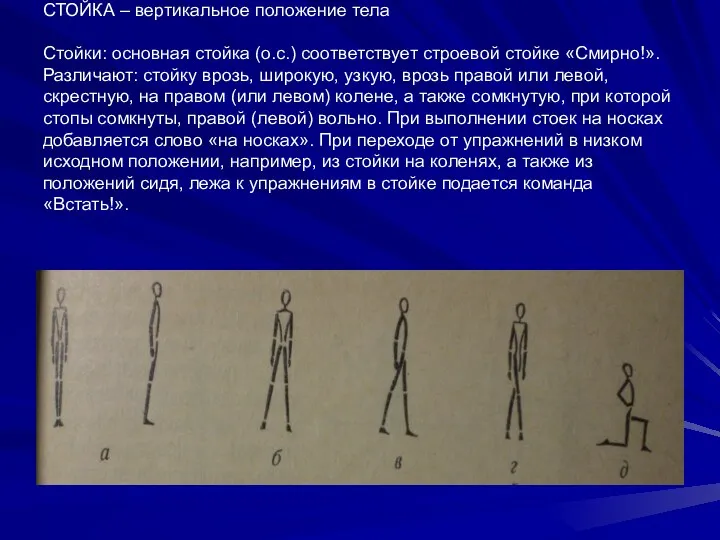 СТОЙКА – вертикальное положение тела Стойки: основная стойка (о.с.) соответствует