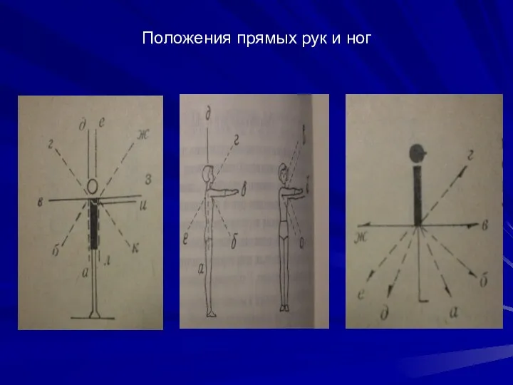 Положения прямых рук и ног